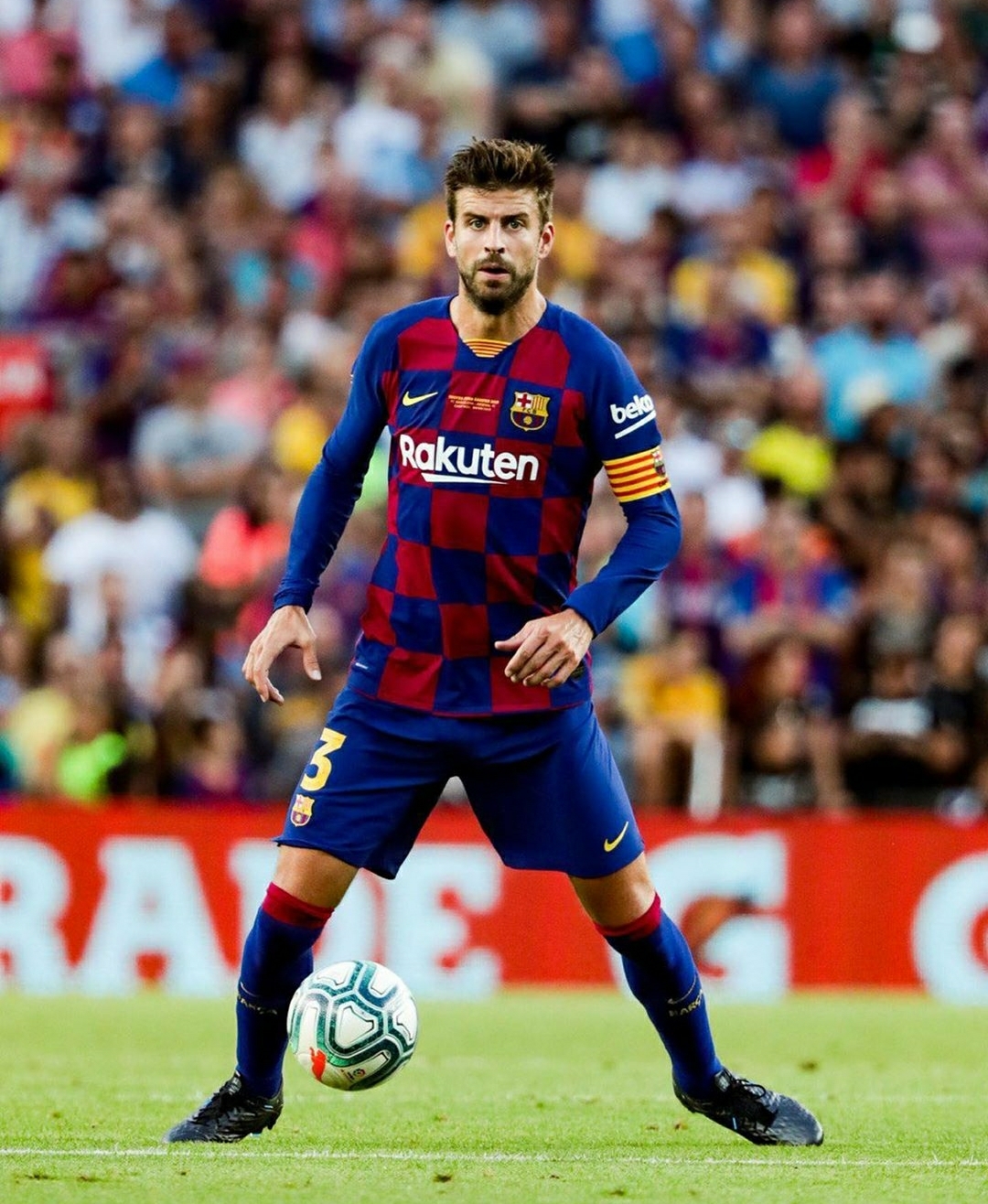 葵花籽脱蜡生产线