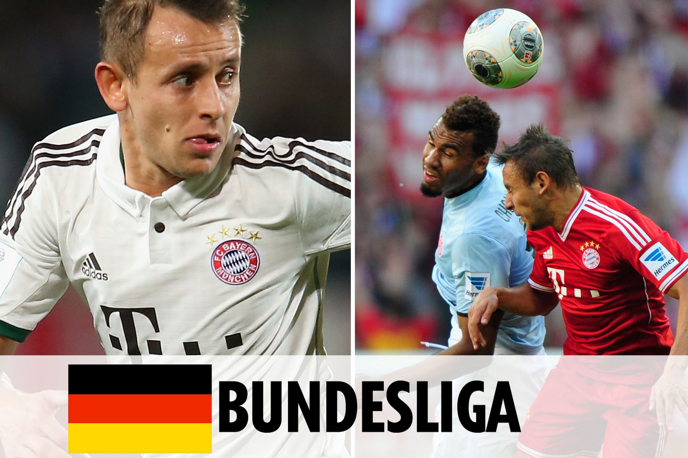 葵花籽脱蜡生产线