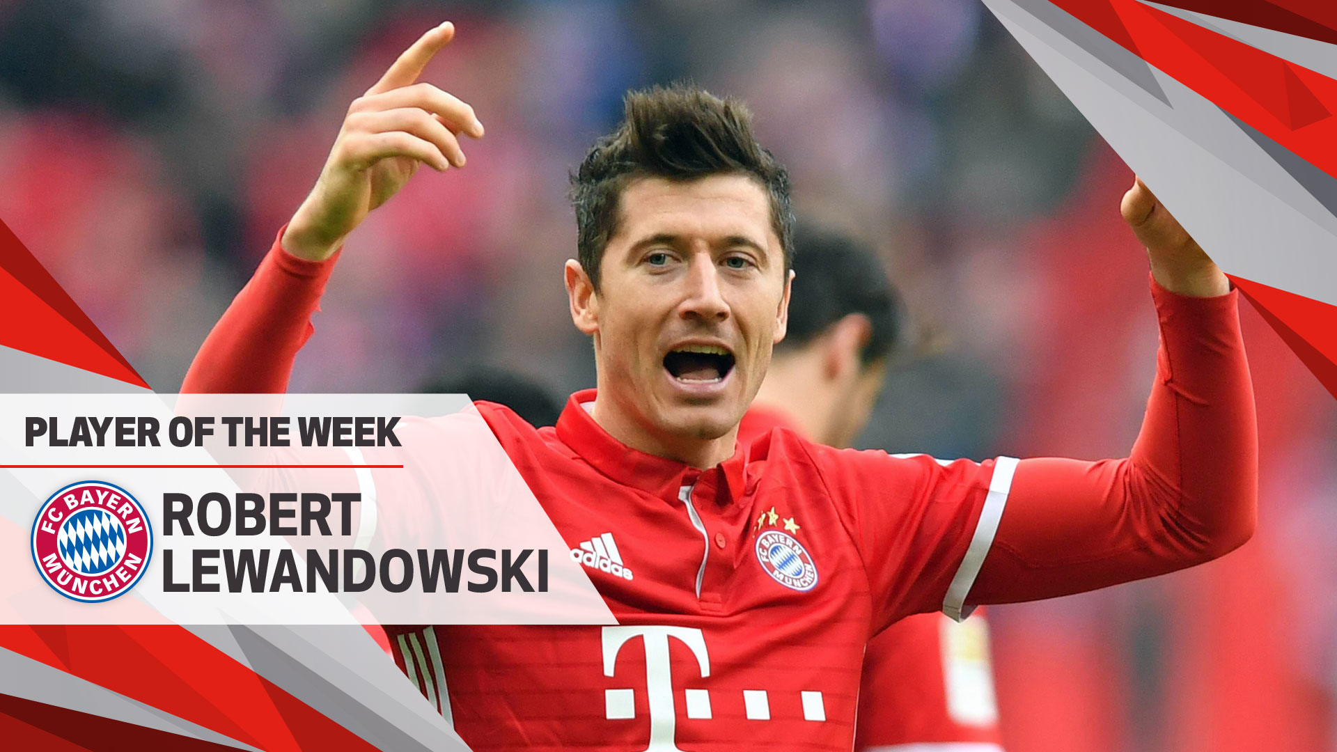 炉膛一体导热油加热熬炼锅