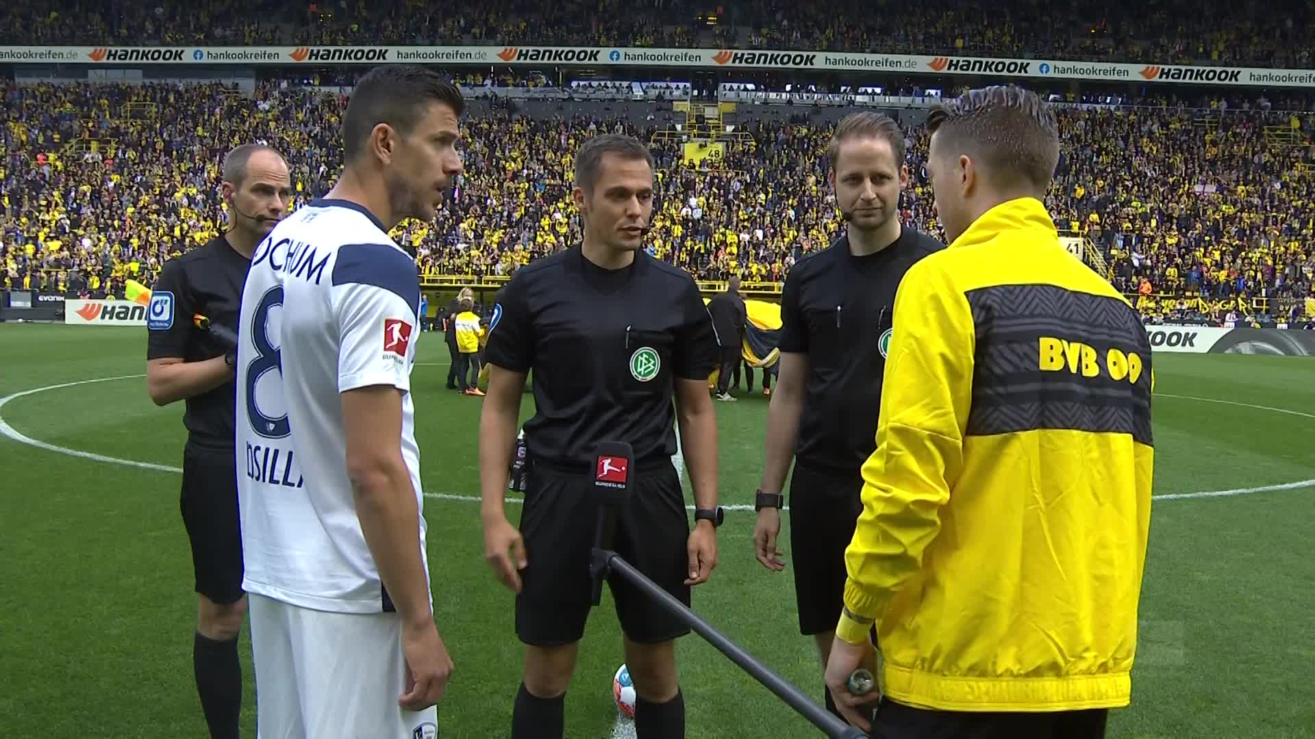 动物油精炼设备